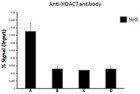 11C7C49_GoChIP_HDAC7_Antibody_042617