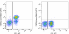 13A3-1_FITC_STAT3_Phospho_Antibody_052919_updated.png