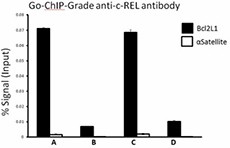 2F5A22_GoChIP_c-REL_Antibody_042617