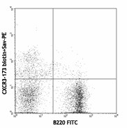 CXCR3-173_Biotin_060308