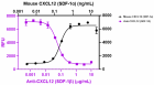W15149B_ULEAF_CXCL12_SDF-1beta_Antibody_b_062121.png