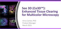 Tutorial: See 3D (Ce3D™): Enhanced Tissue Clearing for Multicolor Microscopy
