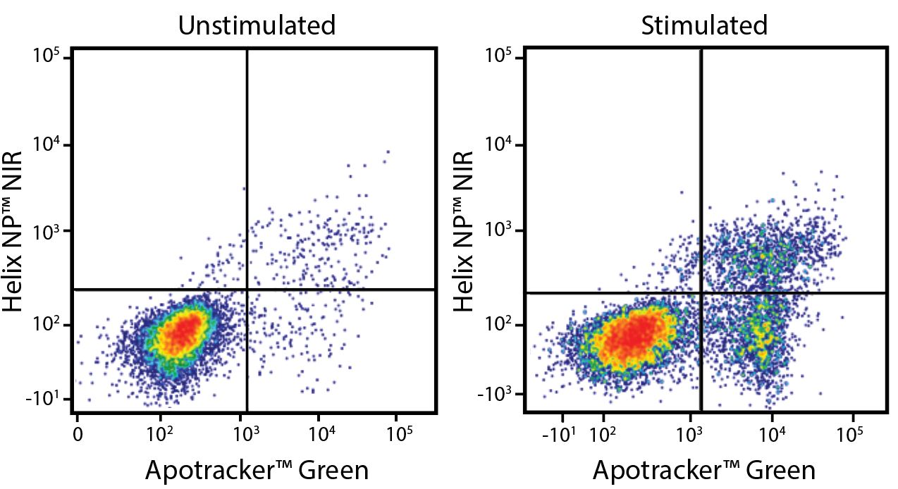 Flow cytometry data with Apotracker™ Green (Apo-15)