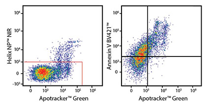 Flow data with Apotracker™ Green (Apo-15)