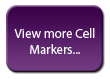 View more cell markers...