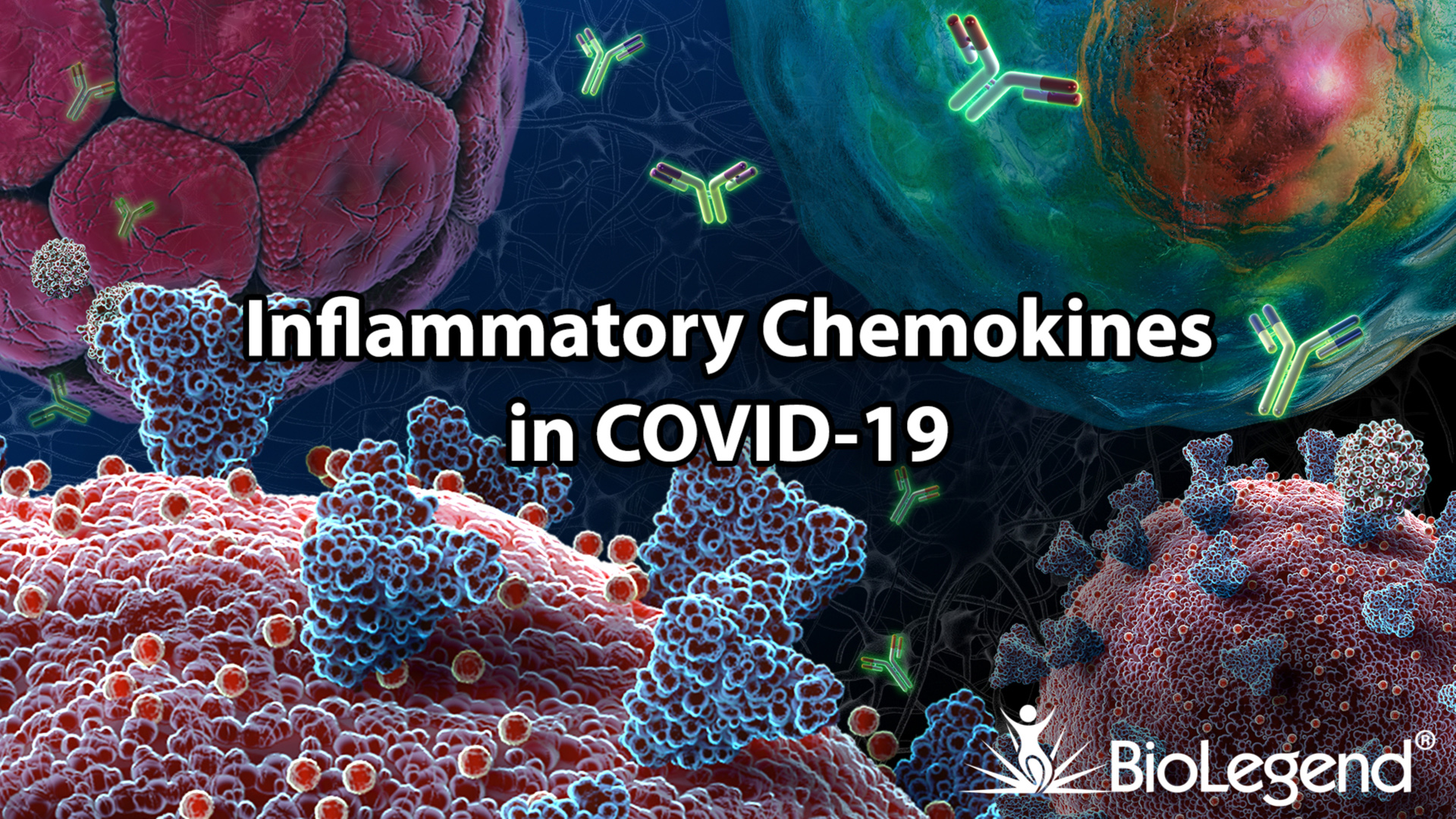  Inflammatory Chemokines in COVID-19