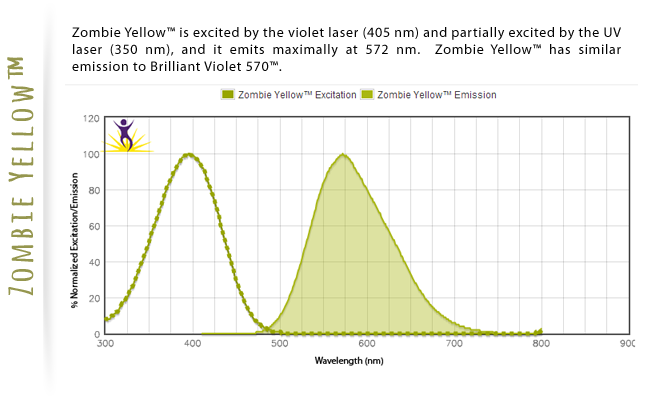 Zombie Yellow is excited by the violet laser (405nm) and partially excited by the UV laser (350nm), and emits maximally at 572 nm.  Zombie Yellow has similar emission to Brilliant Violet 570.