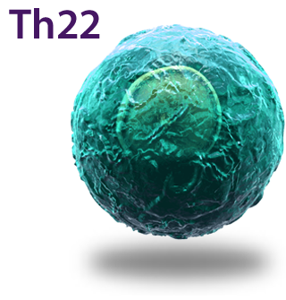 Th22 Cell