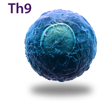 Th9 Cell